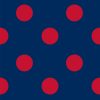 Red on Navy